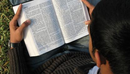 Junge liest Bibel sitzend auf einer Wiese