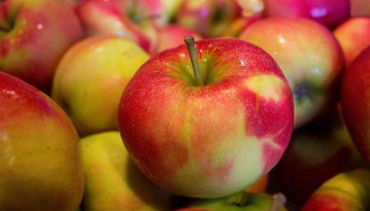 Äpfel zum Apfelfest