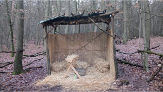 Waldweihnacht Waldweihnacht
