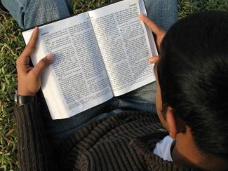 Junge liest Bibel sitzend auf einer Wiese