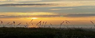 Sonnenuntergang am Wasser