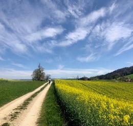 Wanderweg