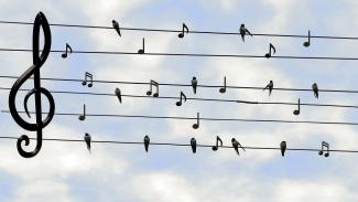 Sing-Workshop 2025