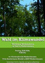 Wald im Klimawandel