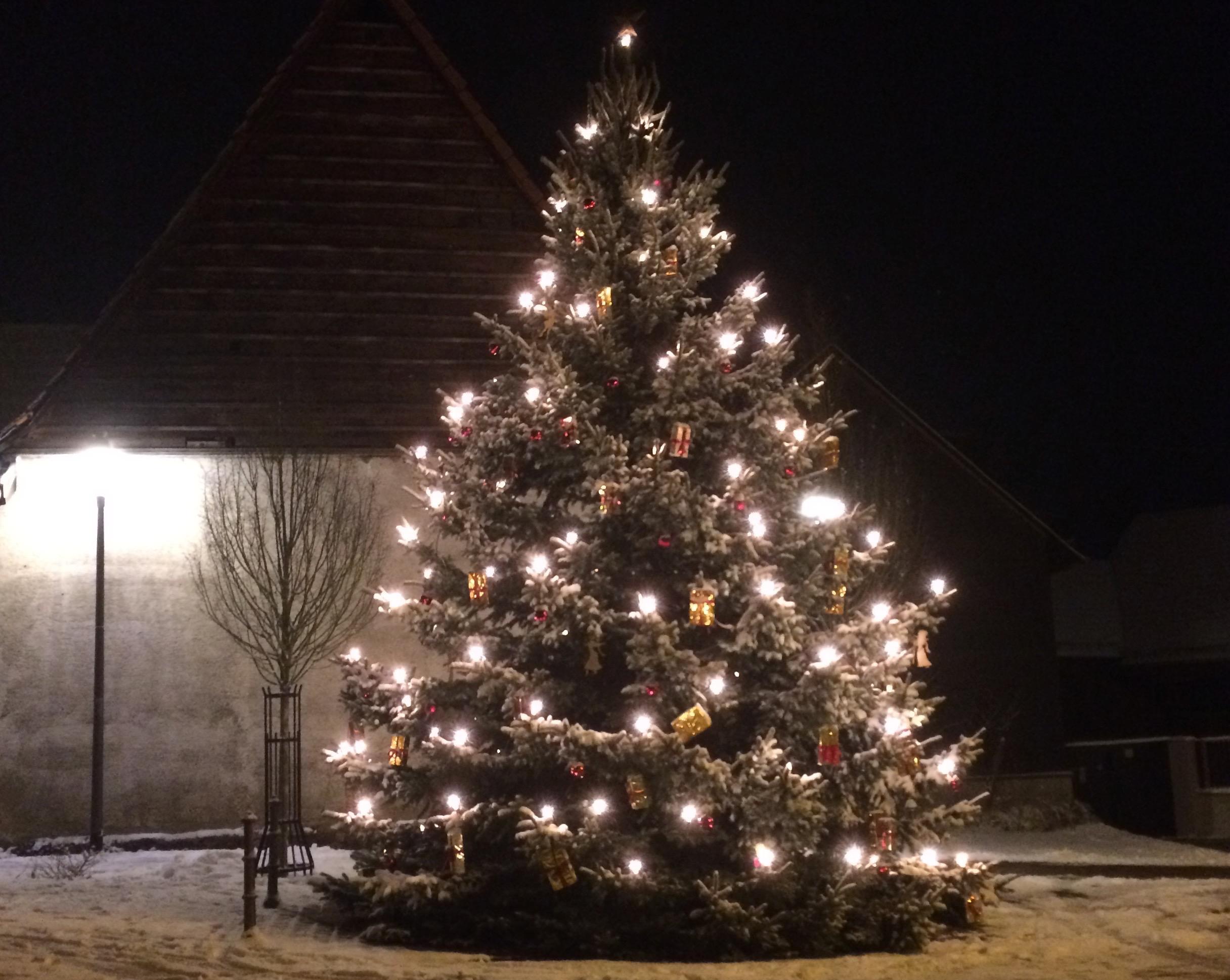 Weihnachtsbaum Oberjosbach Weihnachtsbaum Oberjosbach
